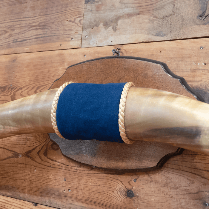 Mounted Horns over 5 feet with a Blue Velvet Center
