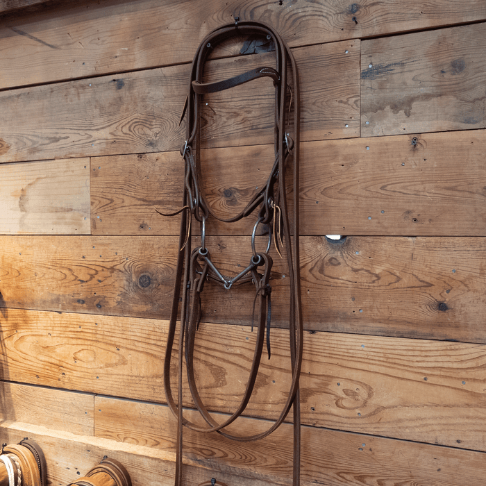 Rod Teuscher Threaded Snaffle Bridle Rig