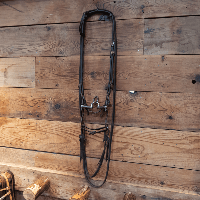 Brandon Anthony Correction Bit Bridle Rig