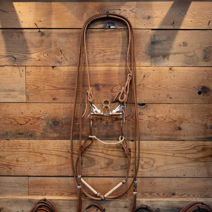 Kerry Kelley 50 P. R. Correction Bridle Rig