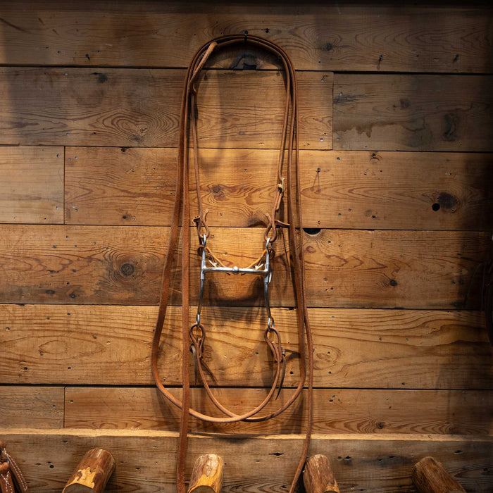 Billy Allen Bridle Rig Tack - Rigs MISC