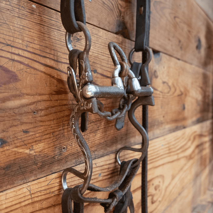 Brandon Anthony Correction Bit Bridle Rig