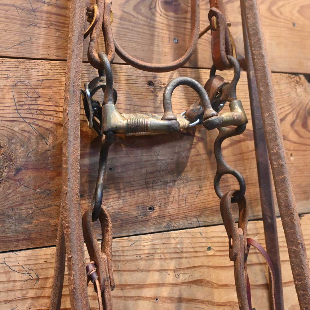 Dutton Correction Bridle Rig