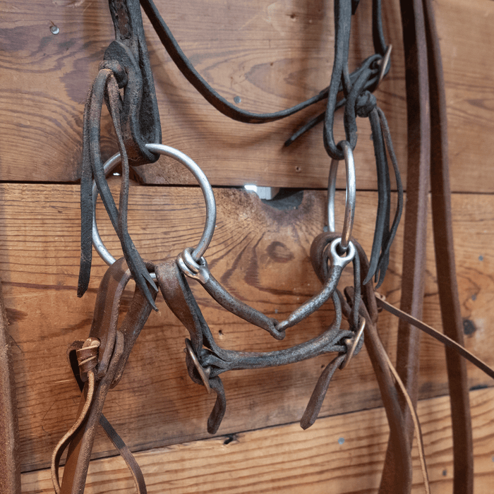 O-Ring Snaffle Bridle Rig