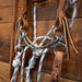 CHS Mormon Twisted Snaffle Rig w/Martingale Tack - Training Cow Horse Supply