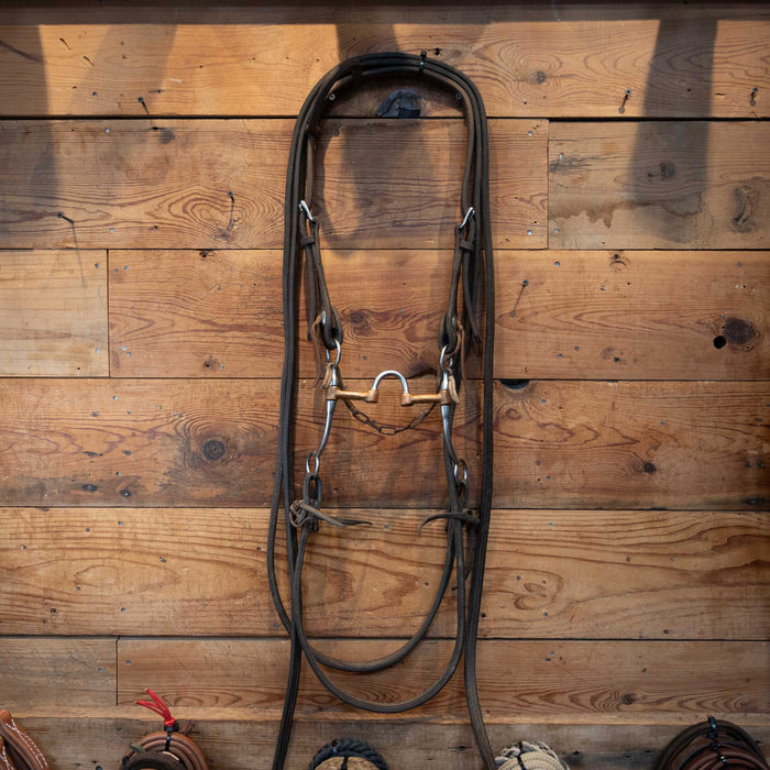 Professional Choice Bob Avila Correction Bridle Rig