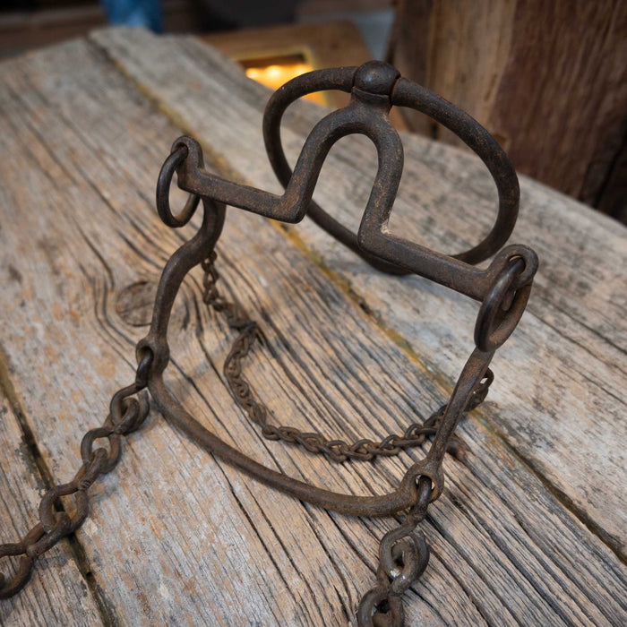 Antique Ring Bit