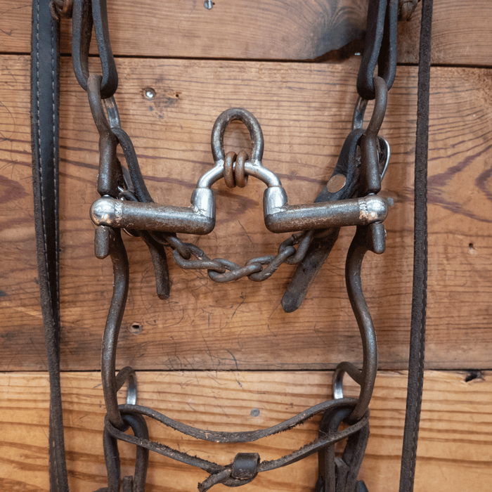 Brandon Anthony Correction Bit Bridle Rig