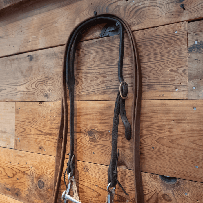 Sleister Snaffle Bit Bridle Rig