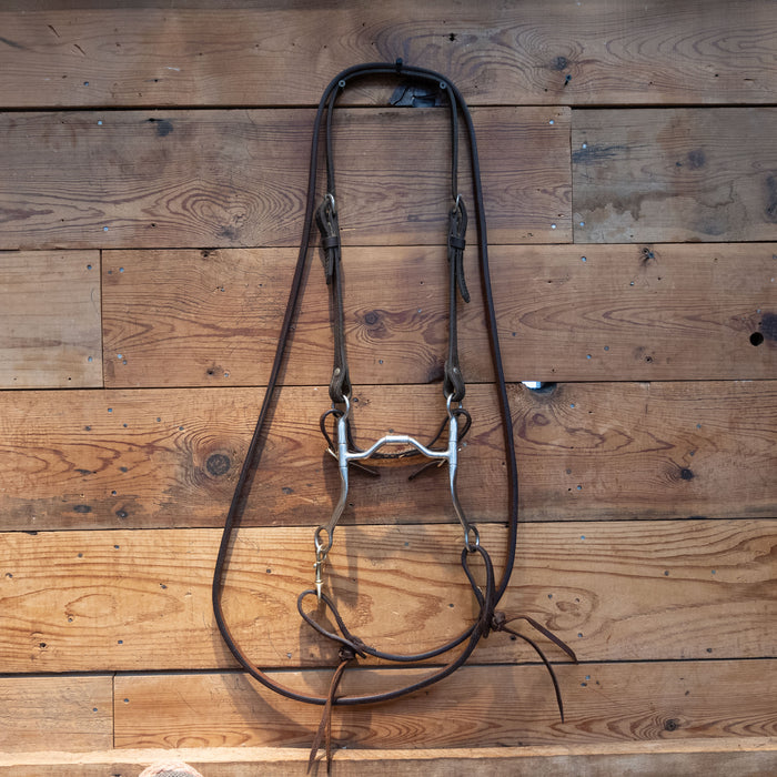 Hinge Port Bit Bridle Rig