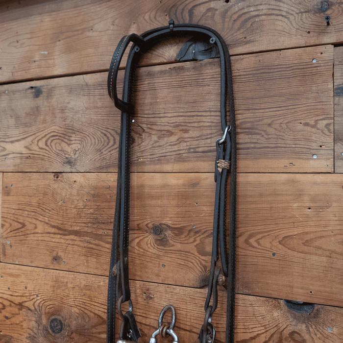Brandon Anthony Correction Bit Bridle Rig