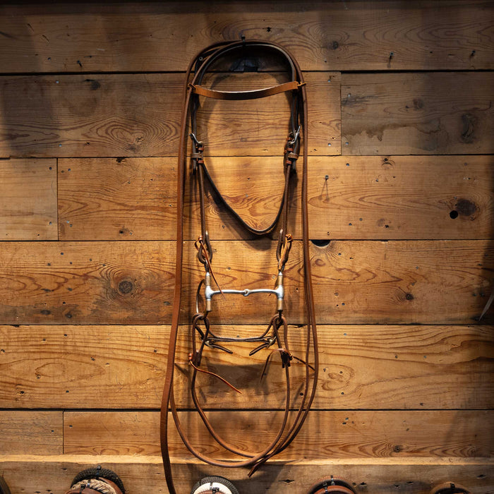 D-Ring Snaffle Bridle Rig Tack - Rigs FG