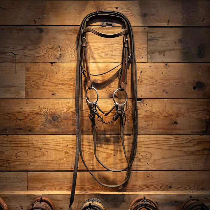 O-Ring Snaffle Bridle Rig