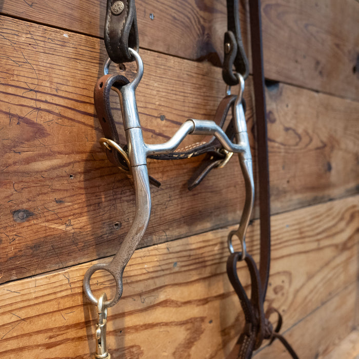 Hinge Port Bit Bridle Rig