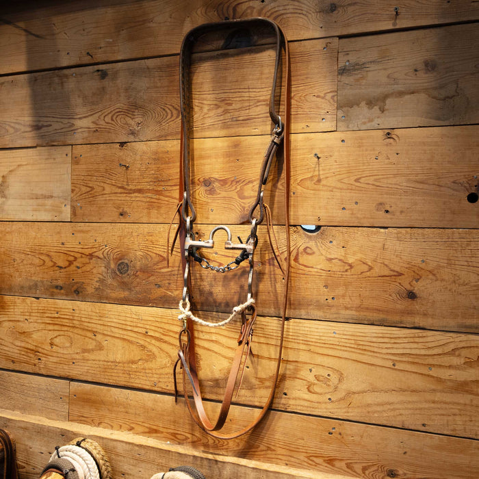 Correction with Copper Accents Bridle Rig