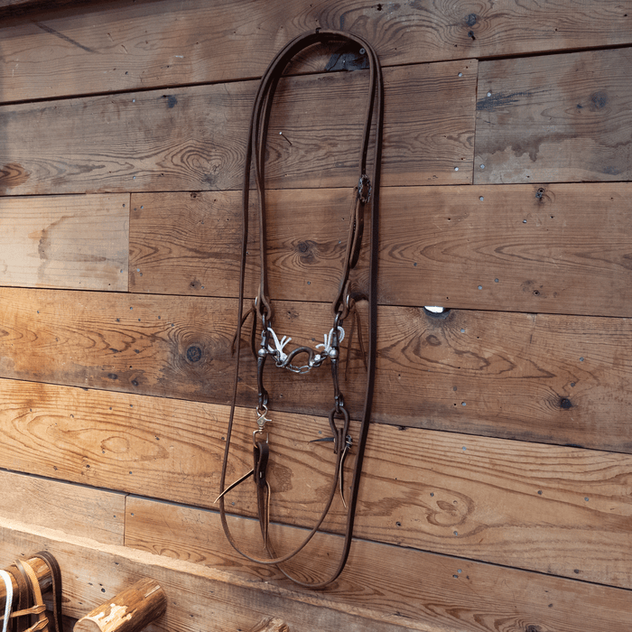 Kerry Kelley Ported Chain Bit Bridle Rig