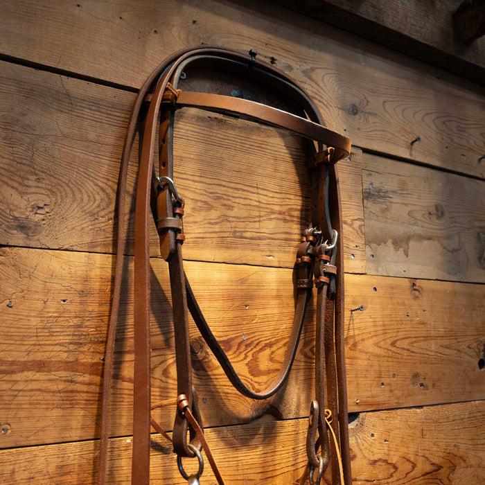 D-Ring Snaffle Bridle Rig Tack - Rigs FG
