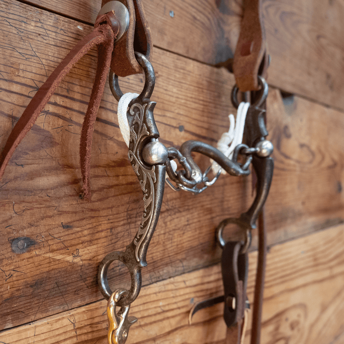 Kerry Kelley Ported Chain Bit Bridle Rig
