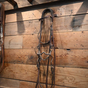 Bridle Rig - DUTTON Solid Port RIG874 Tack - Rigs Dutton