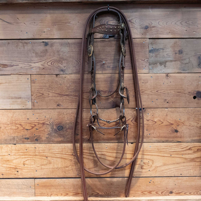 D-Ring Twisted Wire Snaffle Bridle Rig