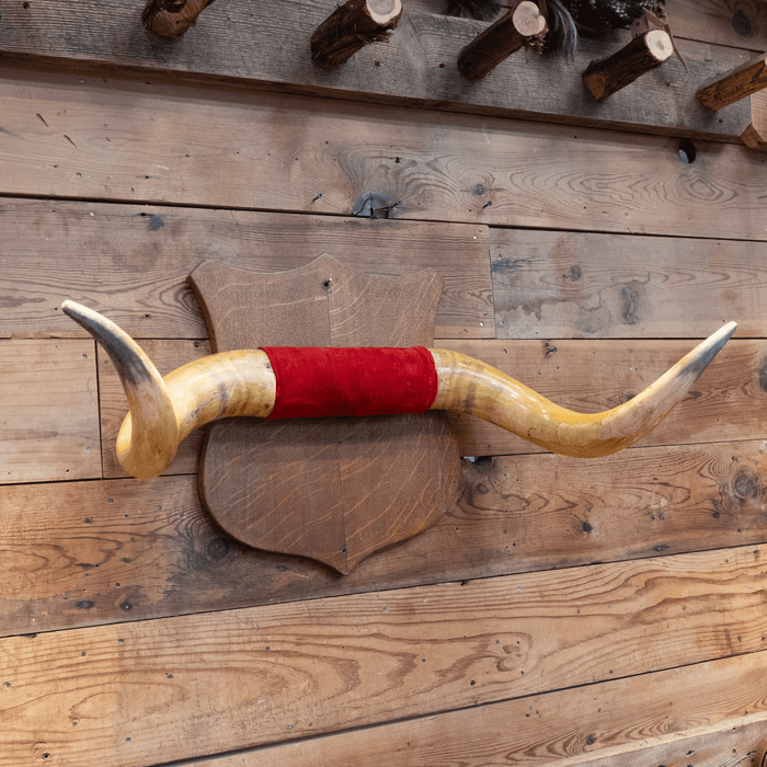 Mounted Horns with a Red Velvet Center