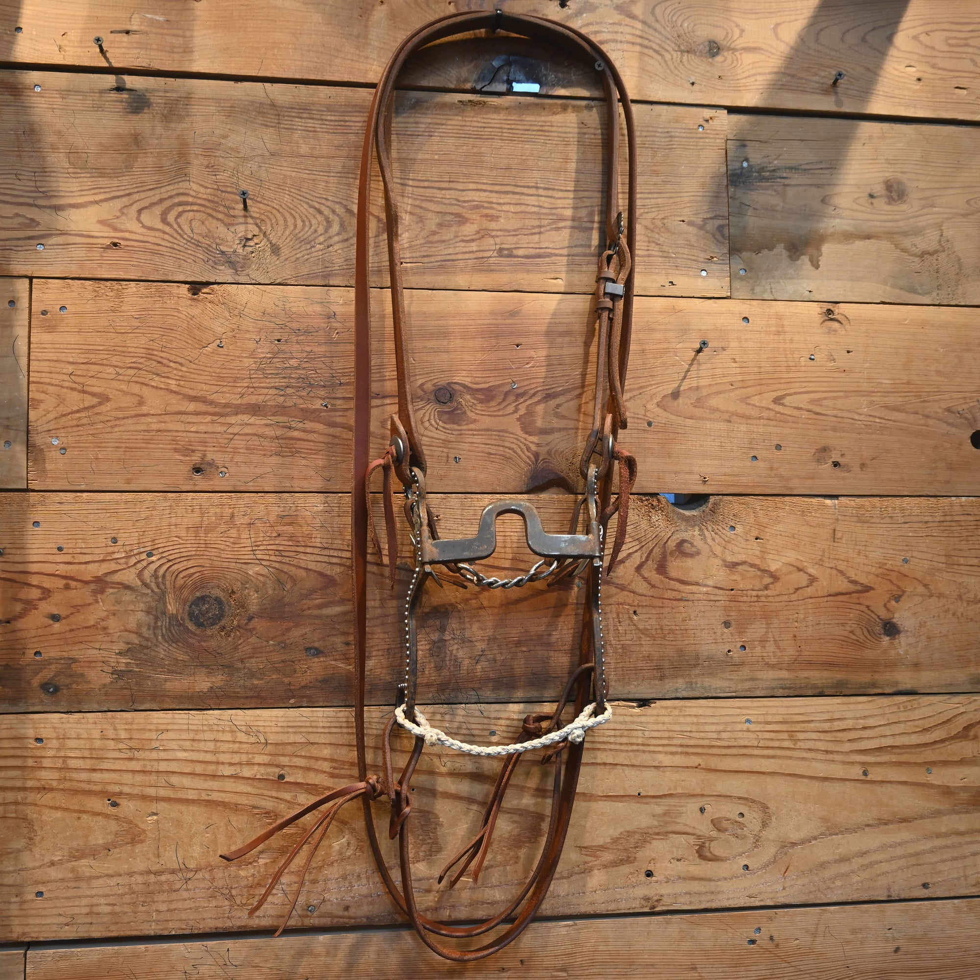 Gordy Alderson Solid Port Bridle Rig