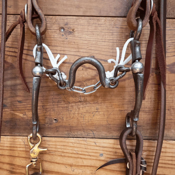 Kerry Kelley Ported Chain Bit Bridle Rig