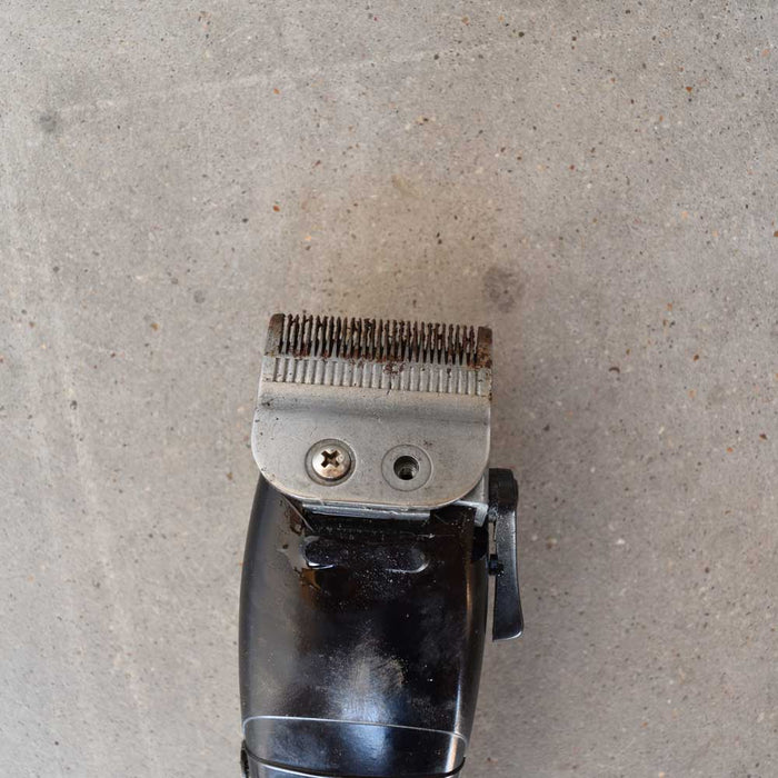 Used Oster Adjustable Groomer Sale Barn Teskeys   