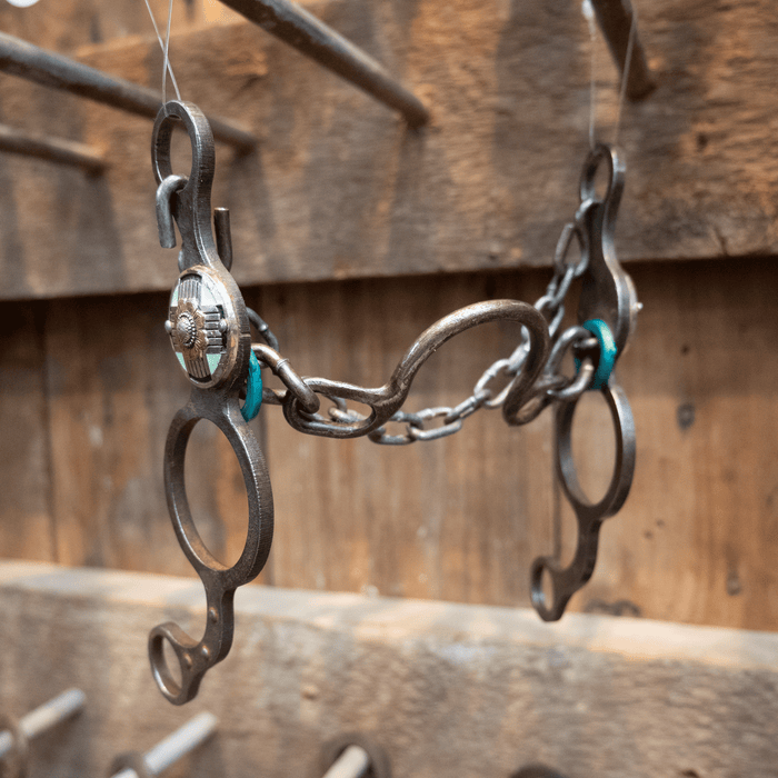 Paul Petska Gag Ported Chain Bit