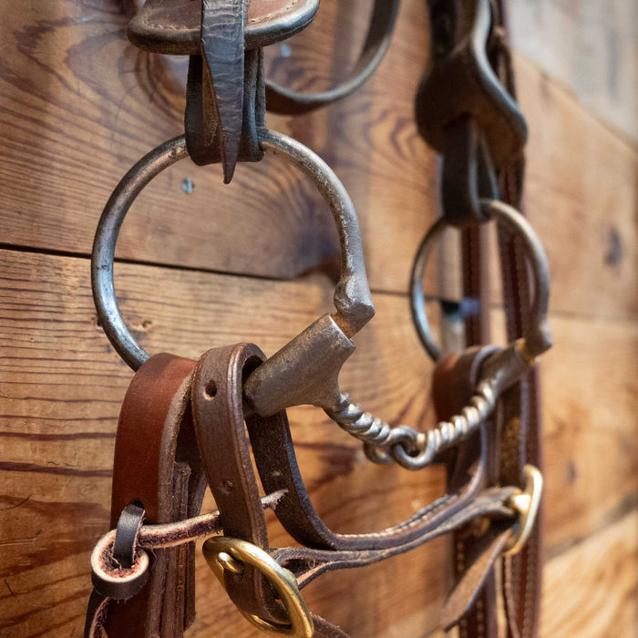 D-Ring Twisted Wire Snaffle Bridle Rig