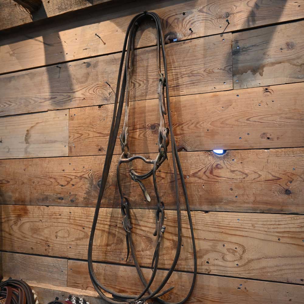 Bridle Rig - Jim Edwards Low Solid Port with Copper and Silver Bit RIG741 Tack - Rigs Jim Edwards   