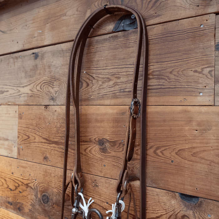 Kerry Kelley Ported Chain Bit Bridle Rig