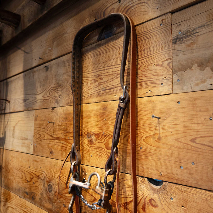 Correction with Copper Accents Bridle Rig
