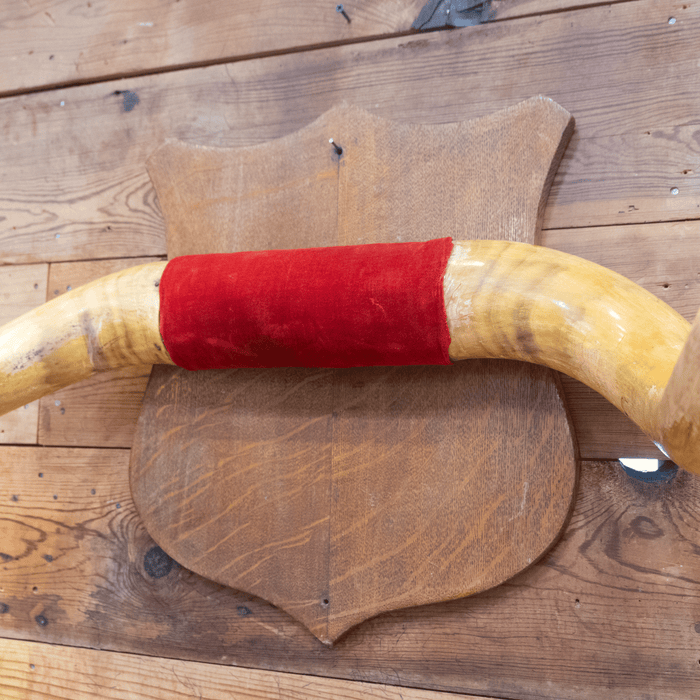 Mounted Horns with a Red Velvet Center