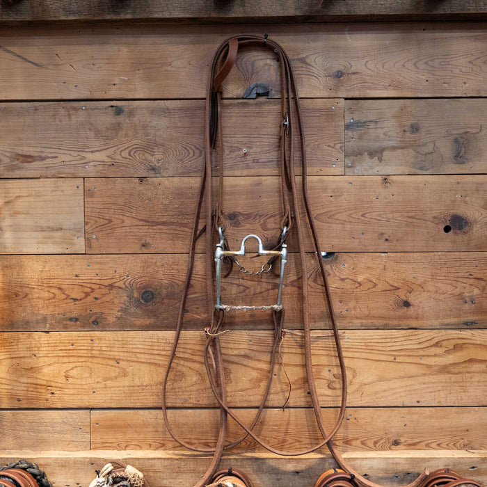 FG Correction Bridle Rig w/ Single Ear Headstall