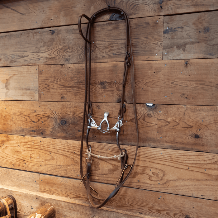 Kerry Kelley Cathedral Bit Bridle Rig