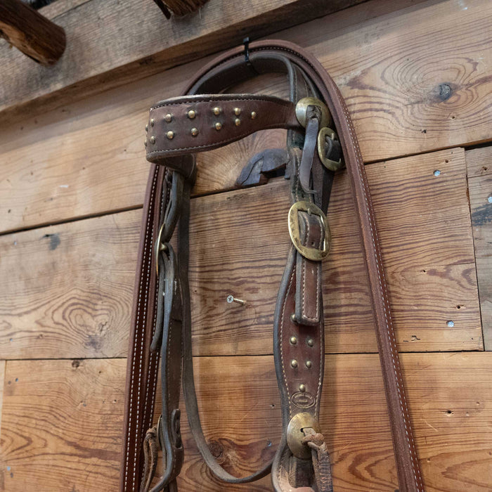 D-Ring Twisted Wire Snaffle Bridle Rig