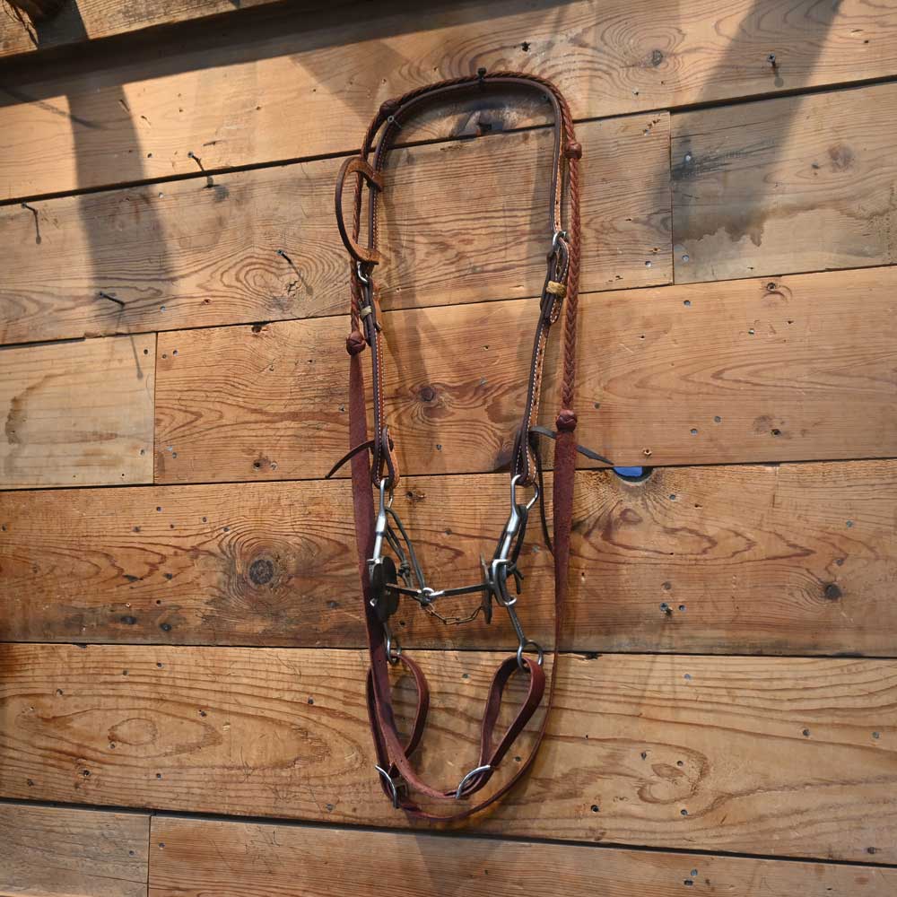 Kerry Kelley 2 Piece Square Mercedes Bridle Rig Tack - Rigs Kerry Kelley