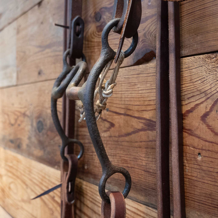 Solid Port Bridle Rig