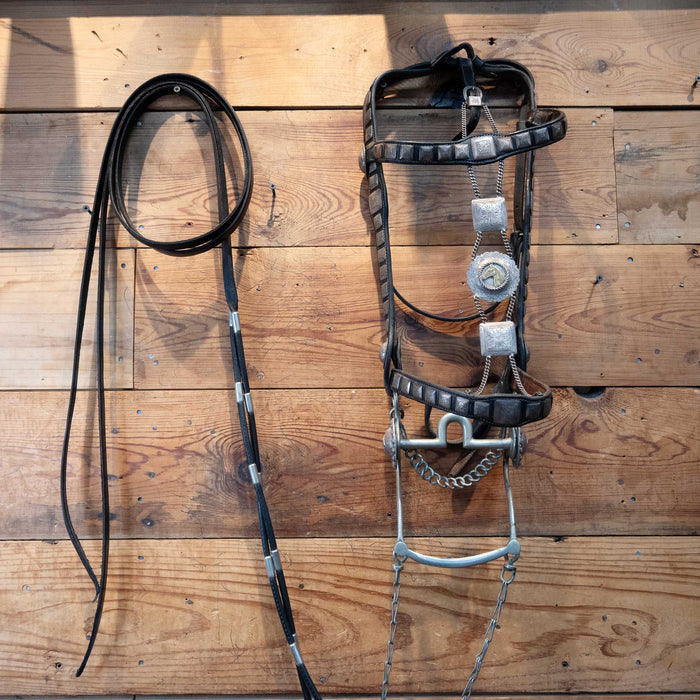 Stunning Vintage Parade Bridle Sterling Silver "Star Steel Silver" Bit Tack - Rigs MISC