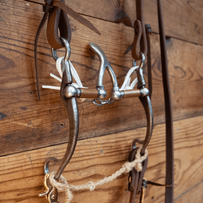 Kerry Kelley Cathedral Bit Bridle Rig