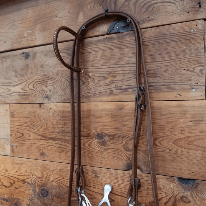 Kerry Kelley Cathedral Bit Bridle Rig