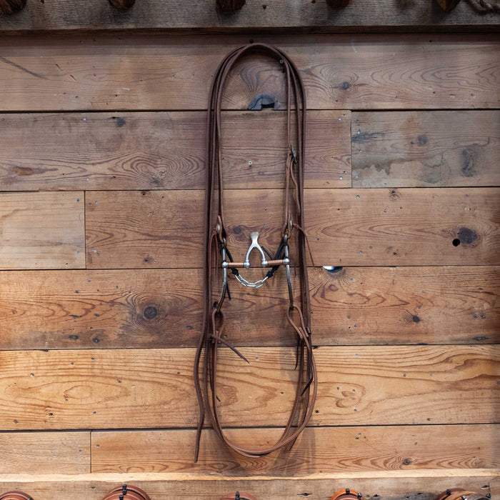 Kerry Kelley Silver Mounted Cathedral Bridle Rig