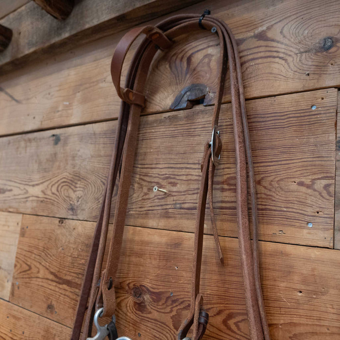 FG Correction Bridle Rig w/ Single Ear Headstall