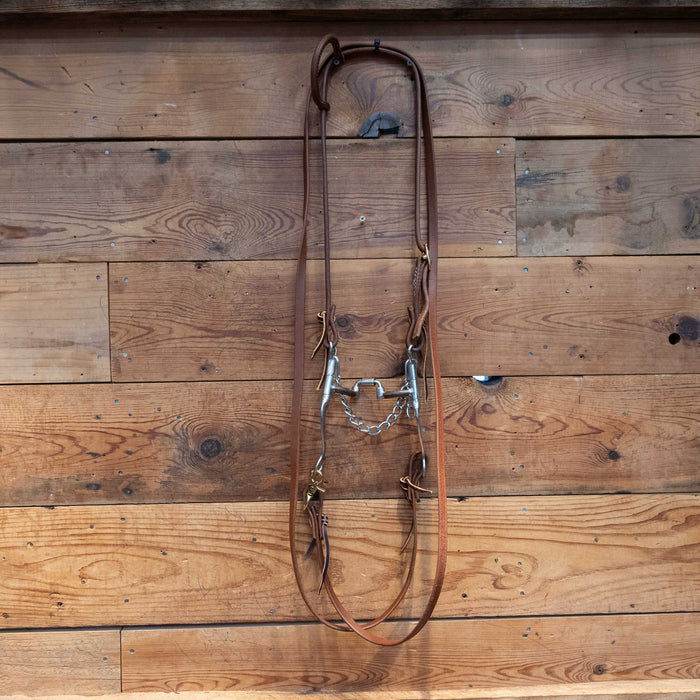 Myler Hinge Port Correction Bridle Rig