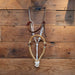 Bosal w/ Hanger Tack - Nosebands & Tie Downs MISC