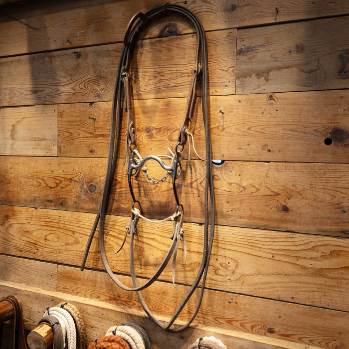 Solid Port Bridle Rig