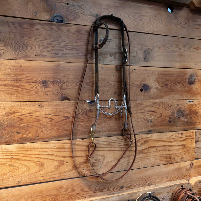 Classic Equine Correction Bridle Rig