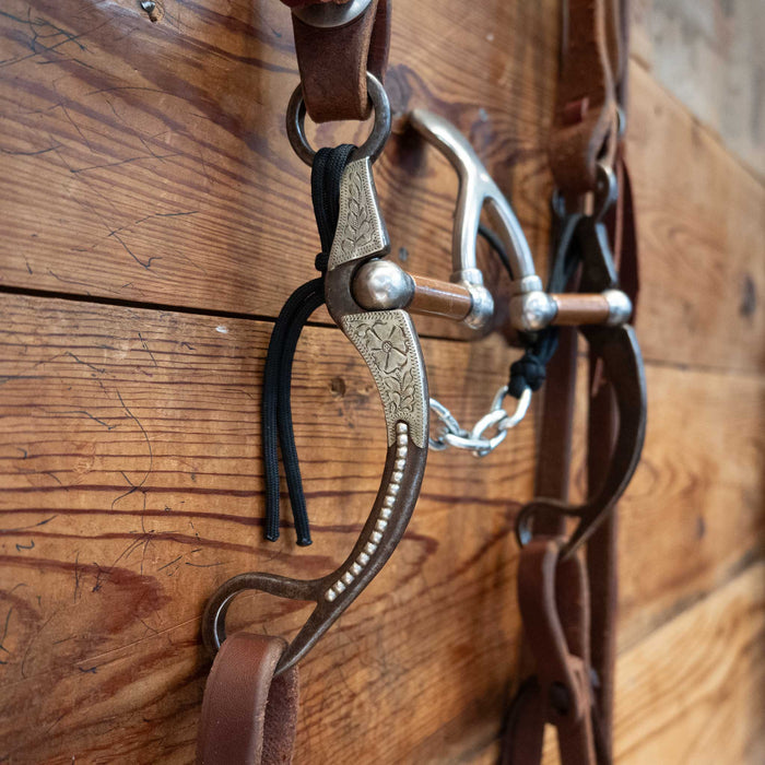 Kerry Kelley Silver Mounted Cathedral Bridle Rig