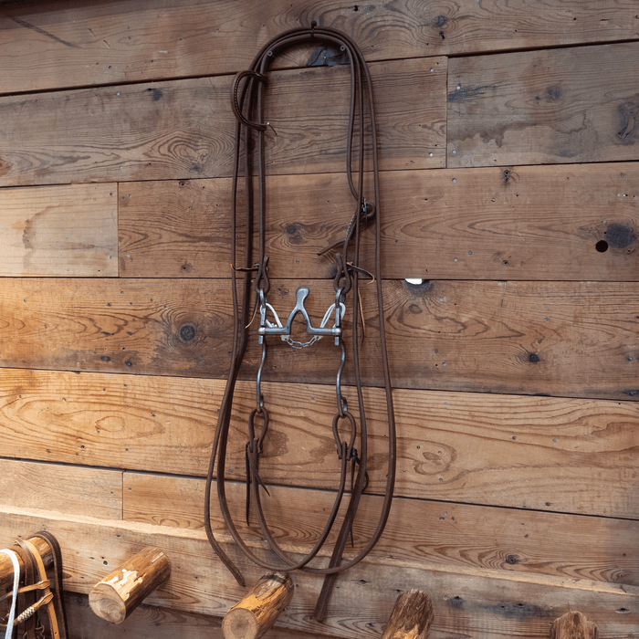 Kerry Kelley Cathedral Bit Bridle Rig